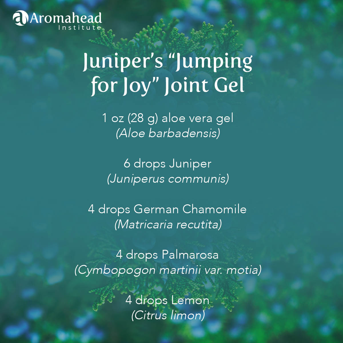 How to Use Juniper Essential Oil